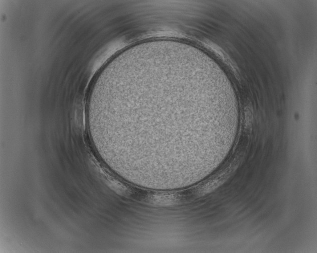 X0000086111274200704091409