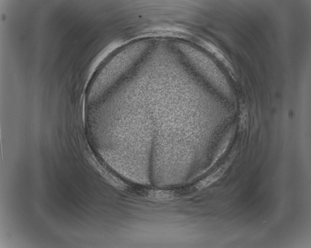 X0000086111275200704091409