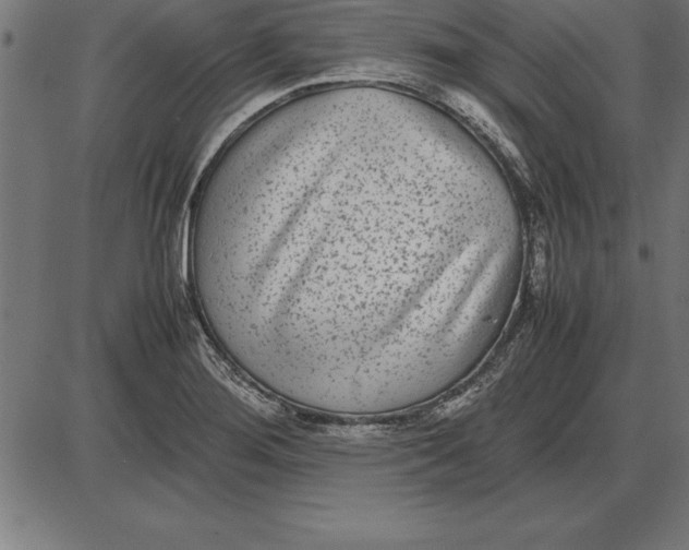 X0000086111276200704091409