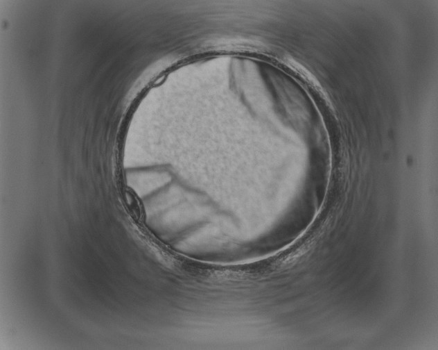 X0000086111277200704091409