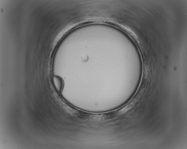 X0000086111279200704091409