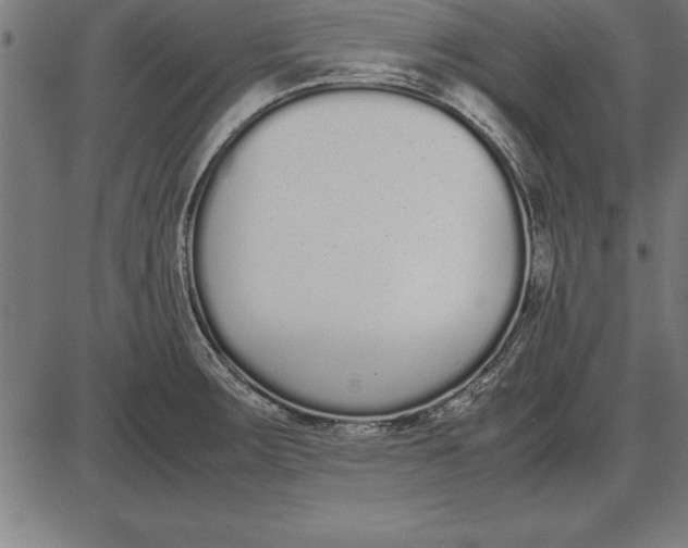 X0000086111283200704091409