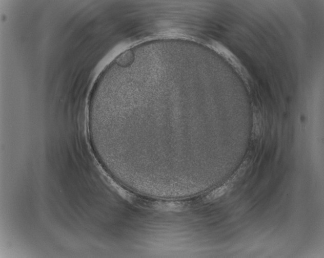 X0000086111286200704091409