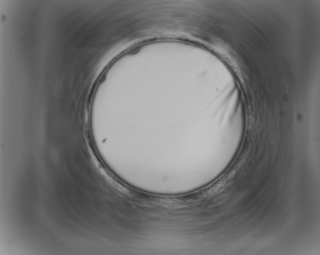 X0000086111287200704091409