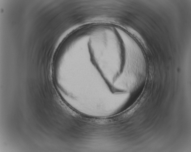 X0000086111288200704091409