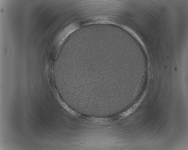 X0000086111289200704091409