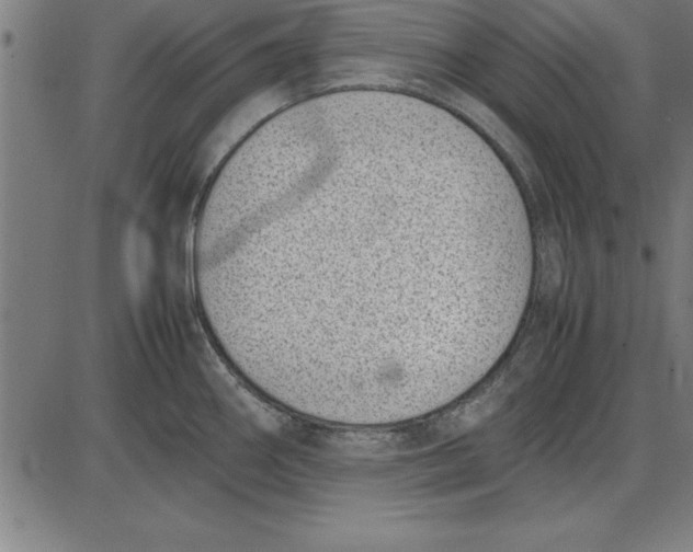 X0000086111290200704091409