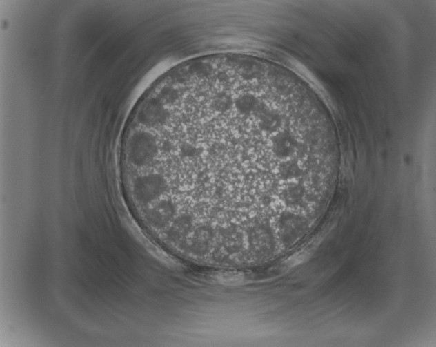 X0000086111291200704091409