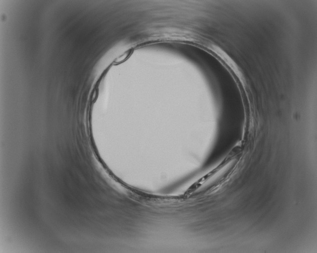 X0000086111293200704091409