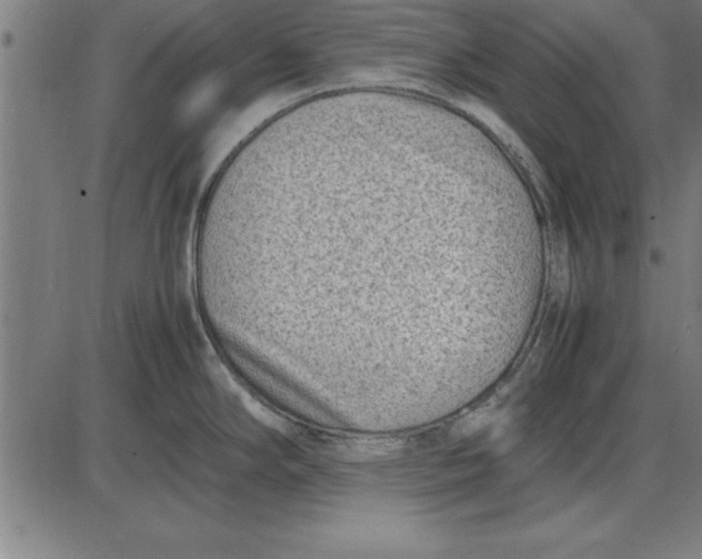 X0000086111294200704091408