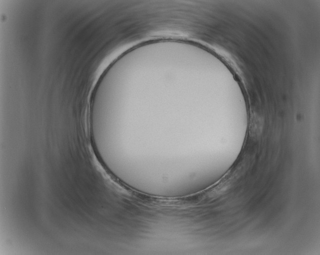 X0000086111295200704091408