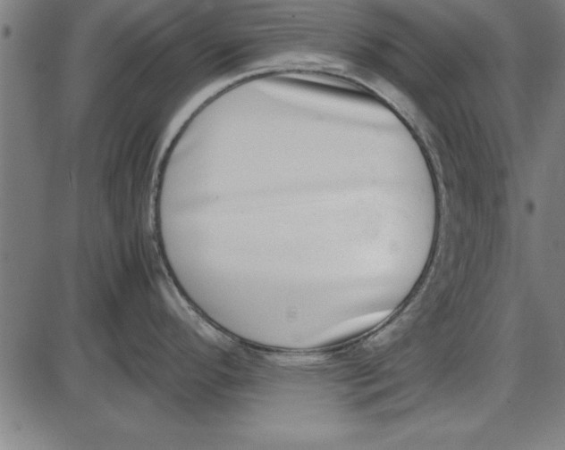 X0000086111296200704091408