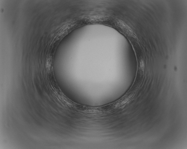 X0000086111300200704091408