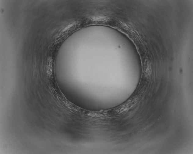 X0000086111301200704091408