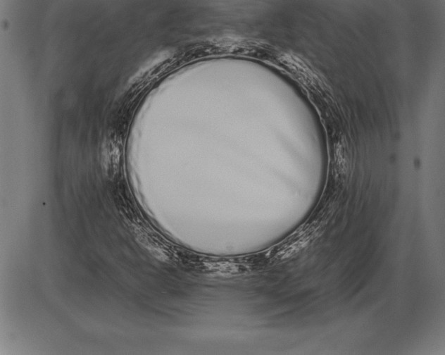 X0000086111302200704091408