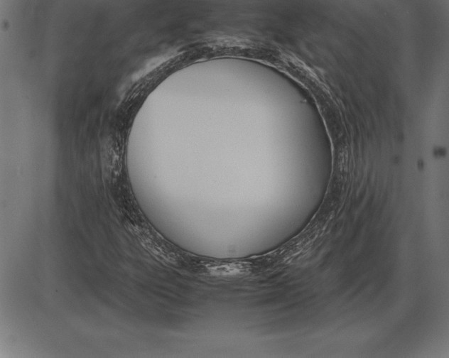 X0000086111303200704091408