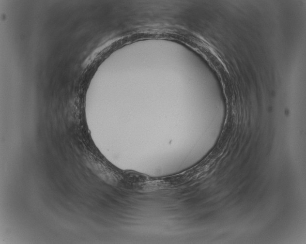 X0000086111304200704091408