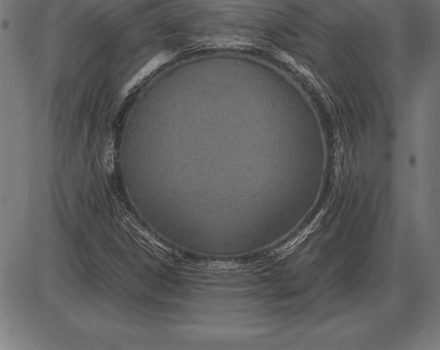 X0000086111306200704091408