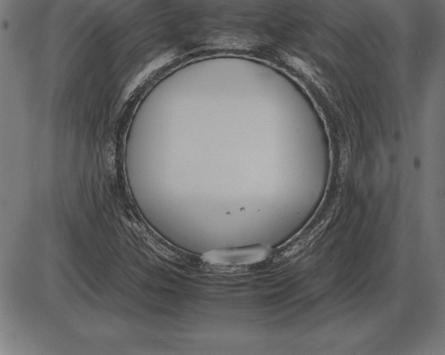 X0000086111307200704091408