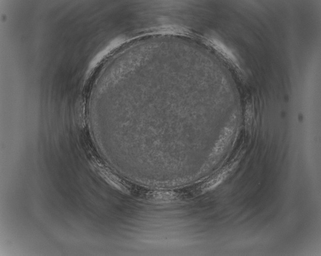 X0000086111310200704091408