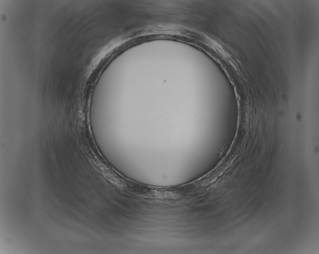 X0000086111312200704091408