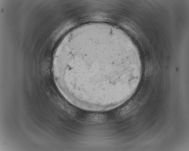 X0000086111314200704091408