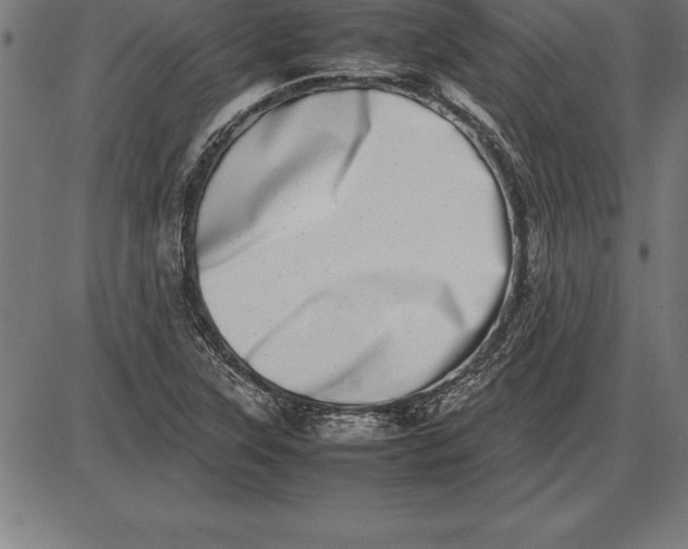 X0000086111315200704091408