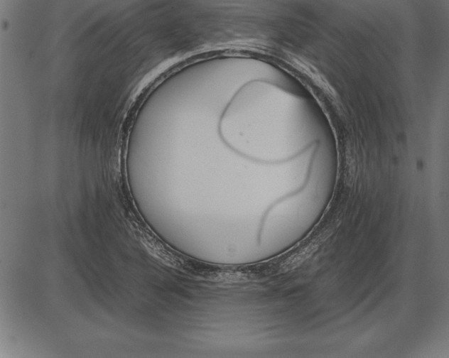 X0000086111316200704091408