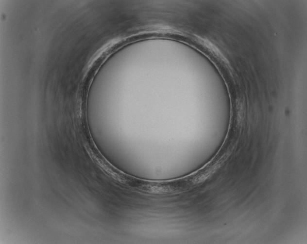 X0000086111318200704091408