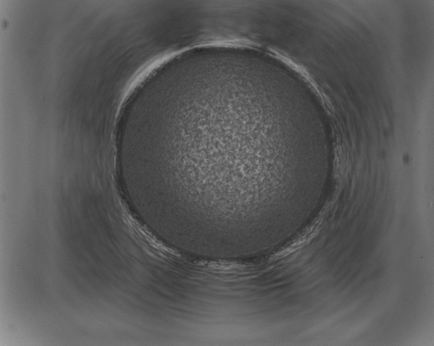 X0000086111319200704091408