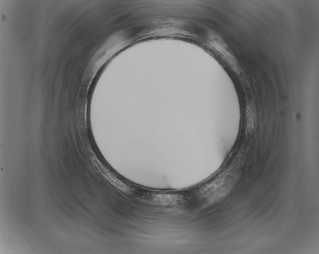 X0000086111322200704091408