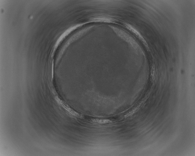 X0000086111323200704091408