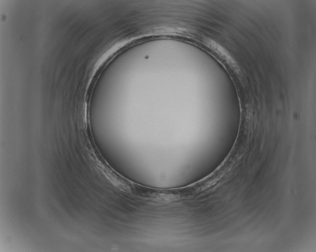 X0000086111324200704091408