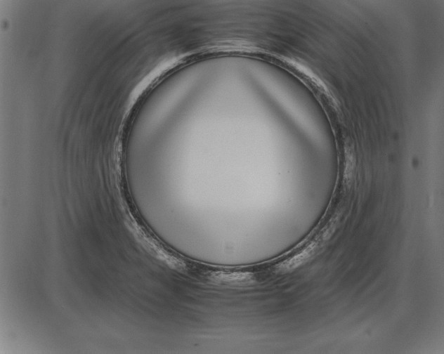 X0000086111325200704091408