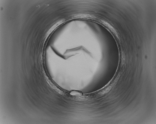 X0000086111330200704091408