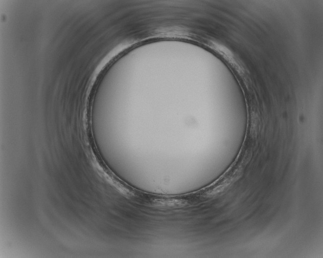 X0000086111331200704091408