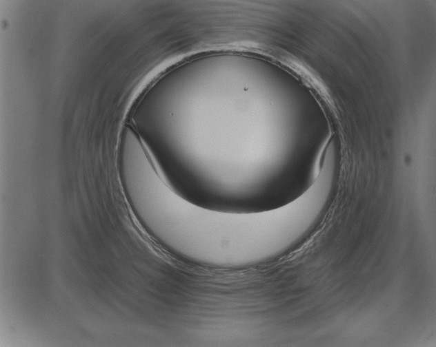 X0000086111332200704091408