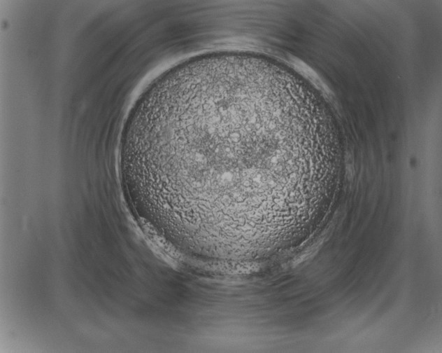 X0000086111334200704091408