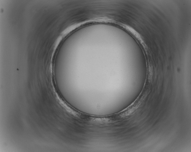 X0000086111335200704091408