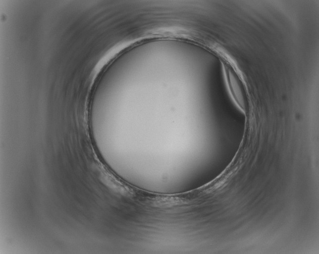 X0000086111336200704091408