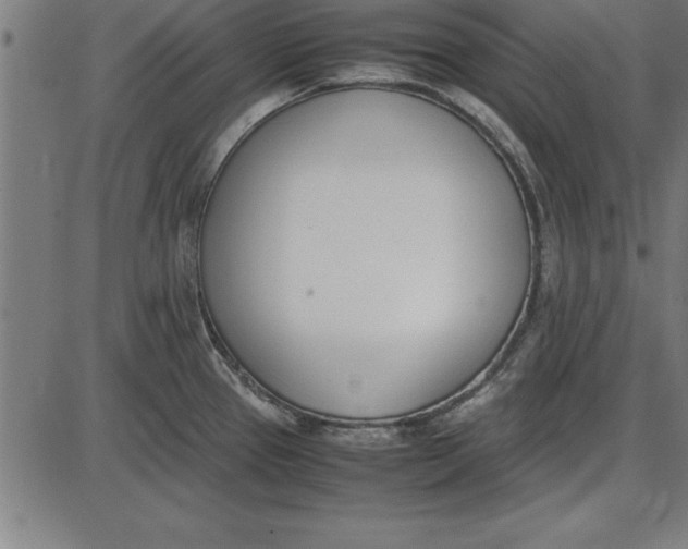 X0000086111337200704091408