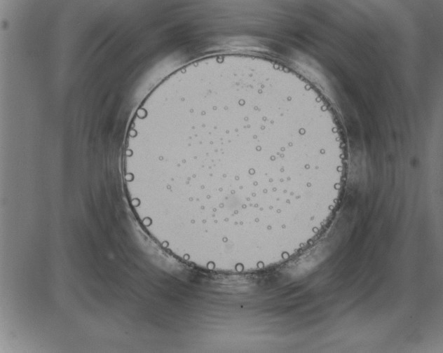 X0000086111338200704091408