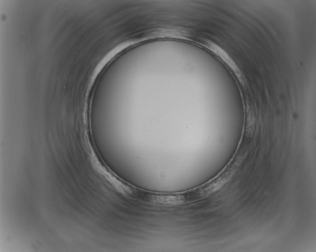 X0000086111339200704091408