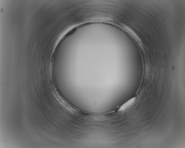 X0000086111340200704091408