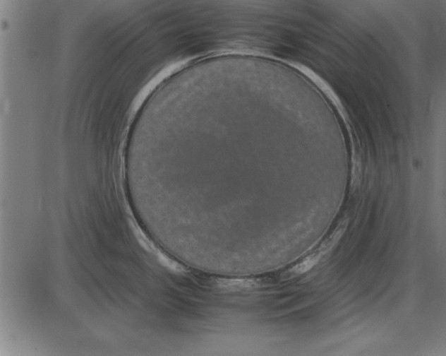 X0000086111341200704091408