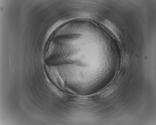 X0000086111342200704091408