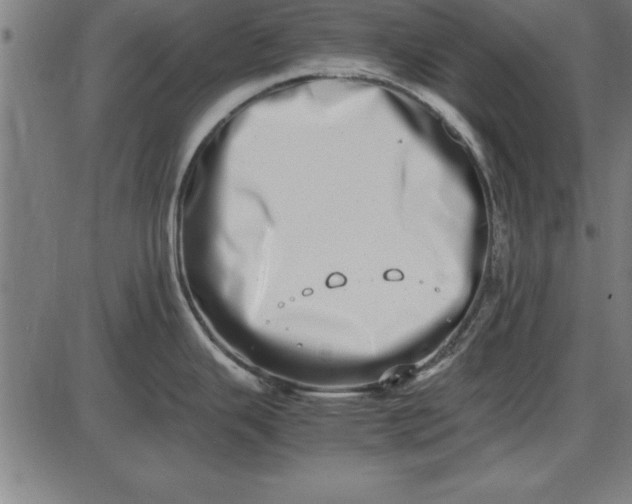 X0000086111343200704091408