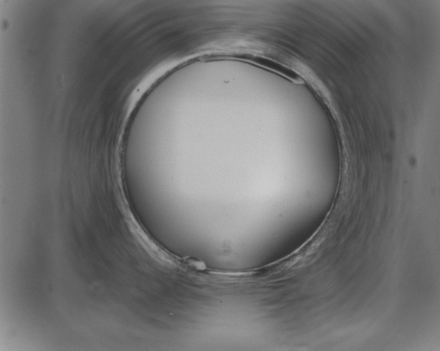 X0000086111344200704091408