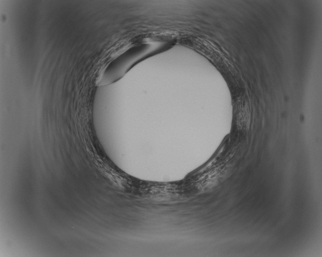 X0000086111345200704091408