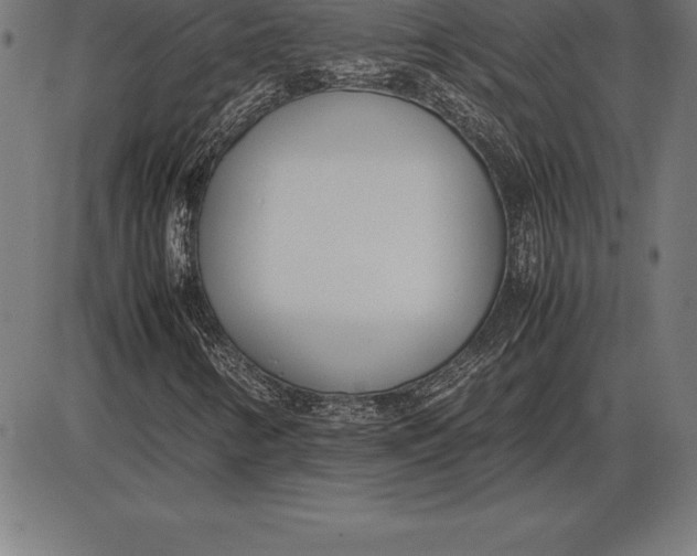 X0000086111346200704091408